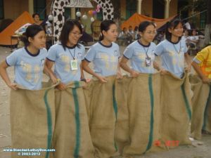 Bao bố 04