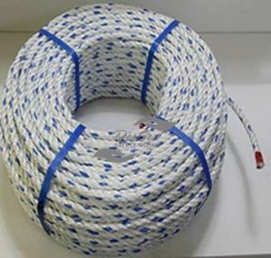 dây dù 03